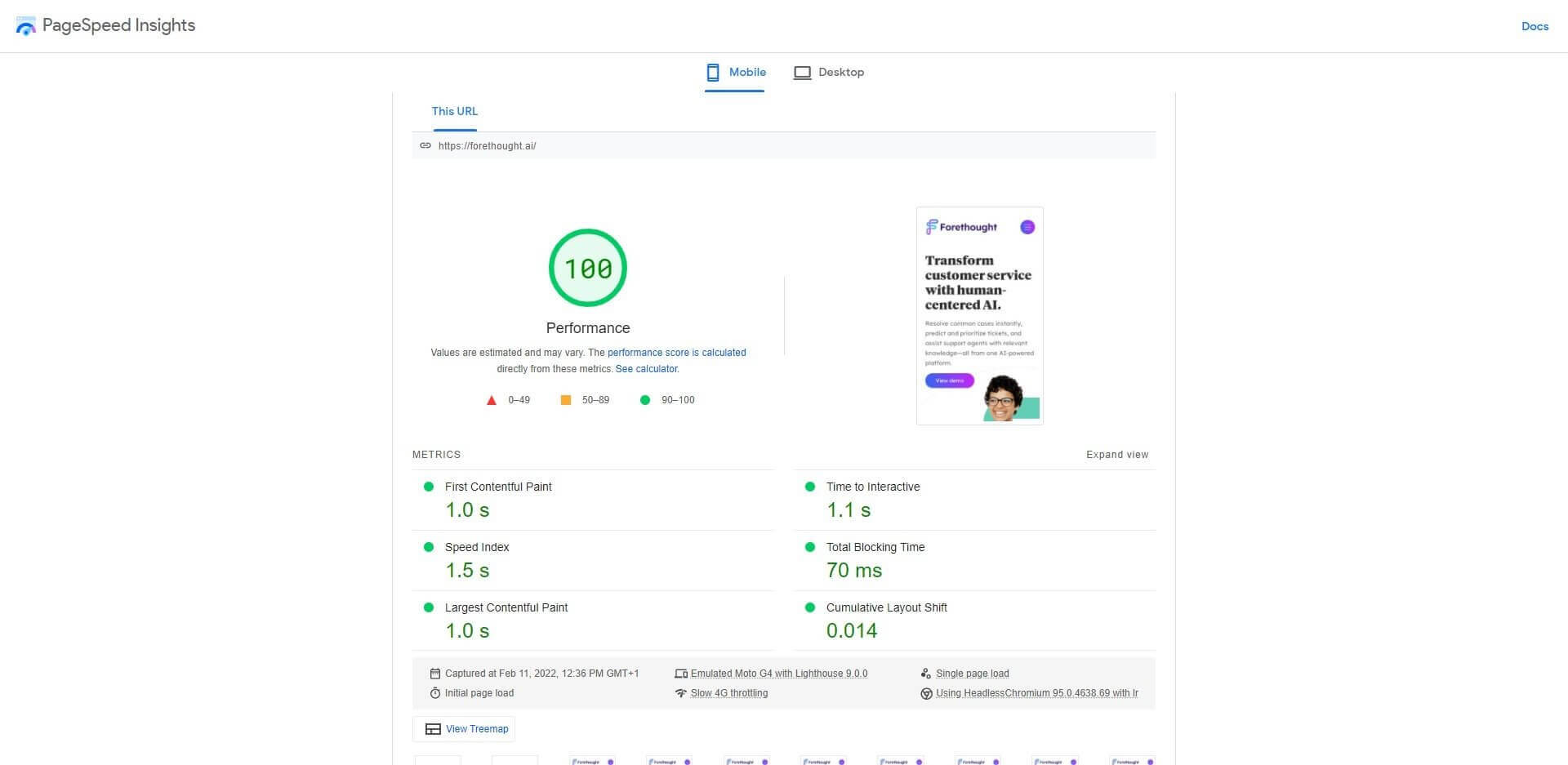 PageSpeed Insights Results for Mobile