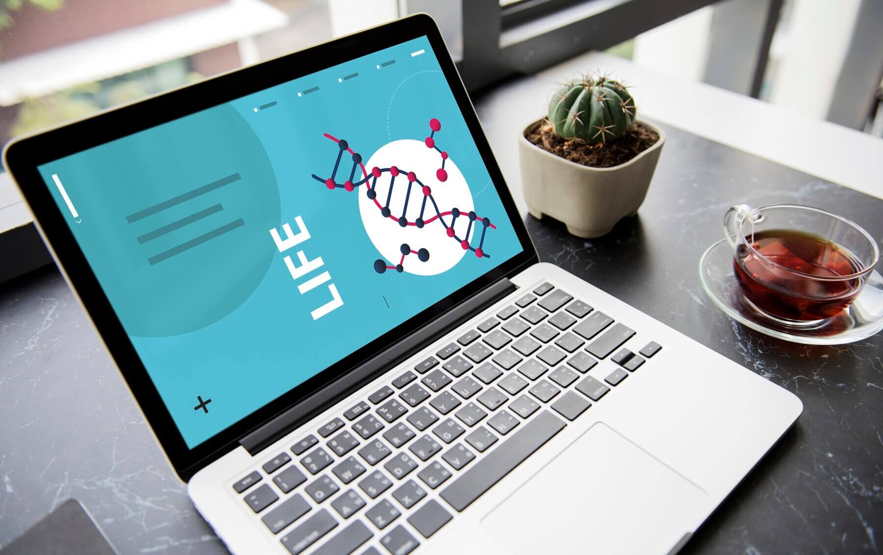Healthcare site on laptop