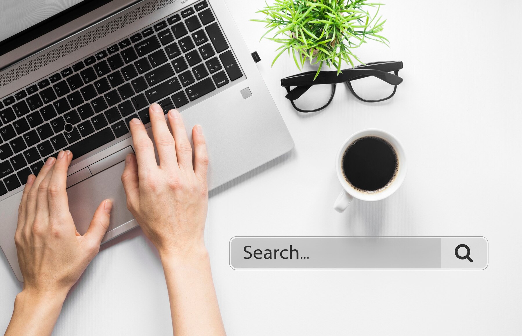 Homepage concept with search bar. WordPress seo plugins for blogging features vs Squarespace SEO