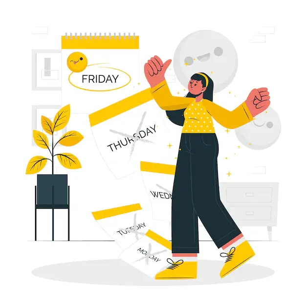 WP Maintenance tasks for each day of the week