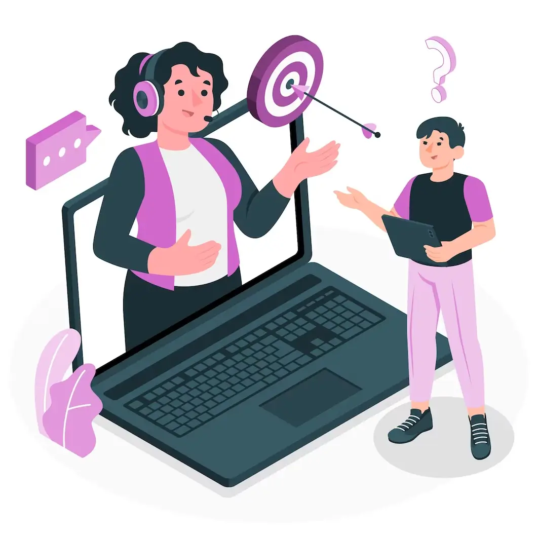 Online-consulting-with-WordPress-developer