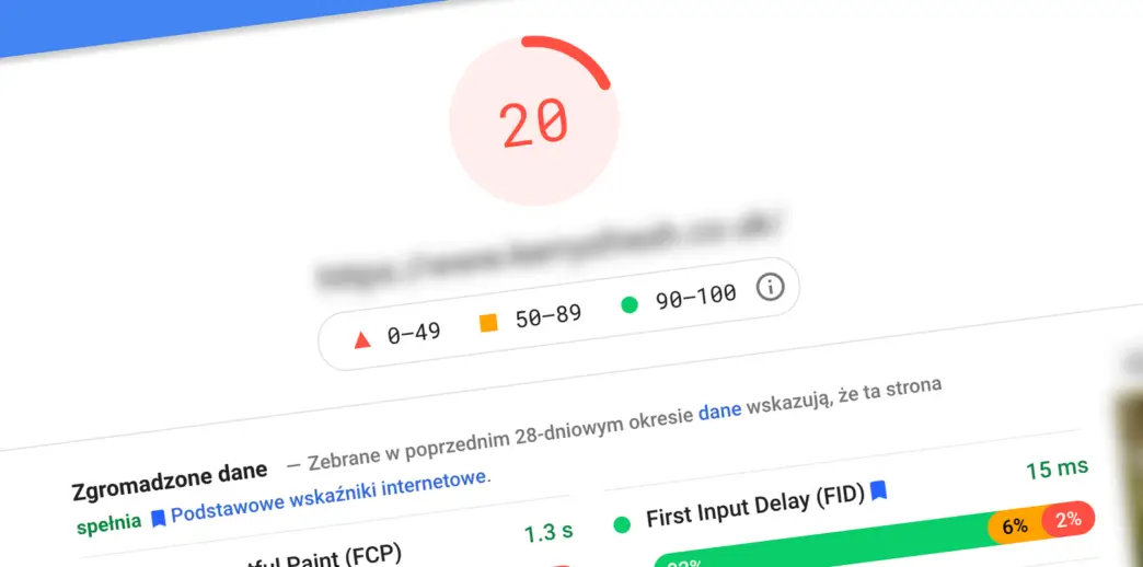 PageSpeed Insight